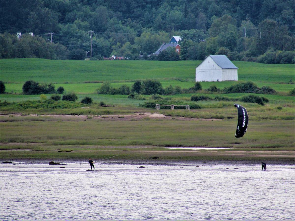 Panoramique Du Fjord Lejlighed LʼAnse-Saint-Jean Eksteriør billede